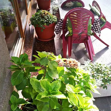 Mala Bubamara Apartment *